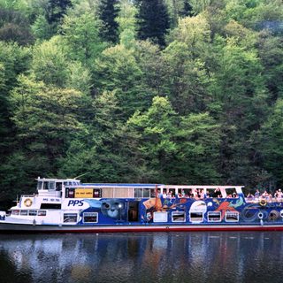 Passenger ferry cruising through lush green river.