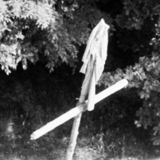 Snow-covered trees with partially buried arrow.