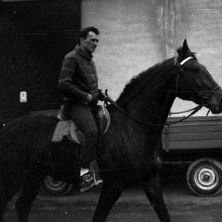 Man driving horse pulling small cart.