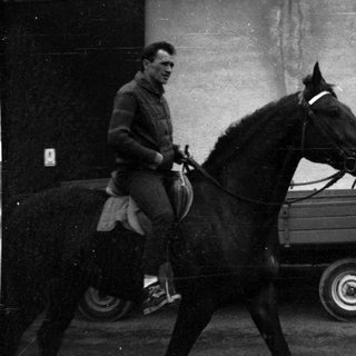 Man driving horse pulling small cart.