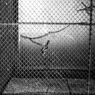 Caged area with blurred figure inside.