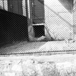 Dog lying behind chain-link fence.