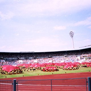 Massive stadium crowd performing synchronized flag routine.