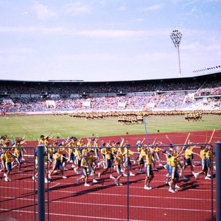 Massive stadium cheer squad performing synchronized routine.