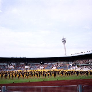 Massive stadium crowd during large-scale team cheer performance.