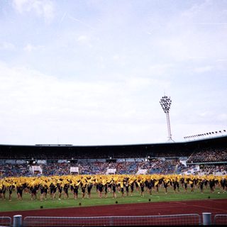 Massive stadium crowd with synchronized team display.