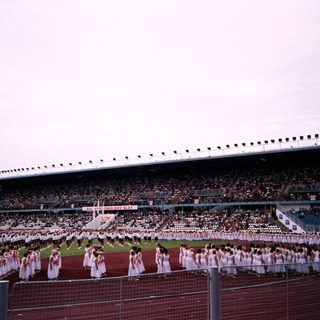 Massive stadium crowd with marching band performance.