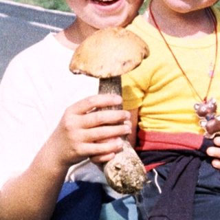 Two children holding mushrooms by the roadside.