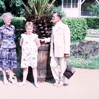 Family posing with large palm plant outdoors.
