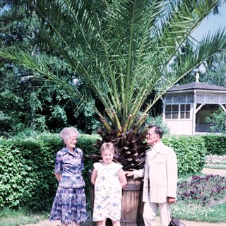 Family posing with large palm plant outdoors.