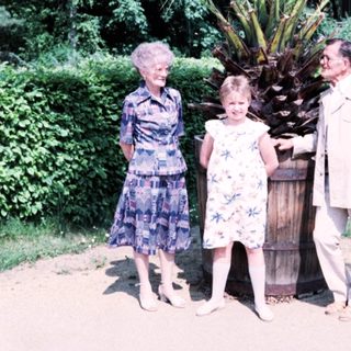 Family posing with large palm plant outdoors.