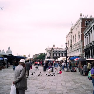 Busy Piazza San Marco, Venice, with tourists and pigeons.