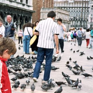 Child feeding pigeons in historic city square.
