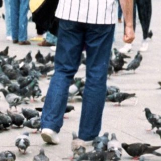 Child feeding pigeons in historic city square.