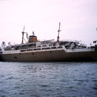 Large passenger ship docked at port.