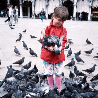 Child feeding pigeons in a public square.