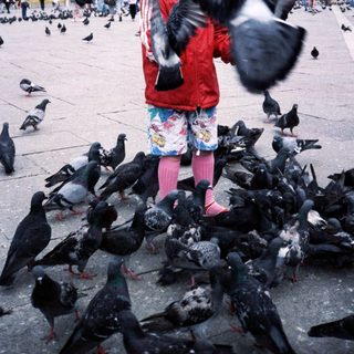Child feeding pigeons in St. Mark's Square.