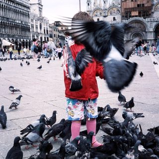 Child feeding pigeons in St. Mark's Square.