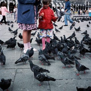 Two children feeding pigeons in St. Mark's Square.