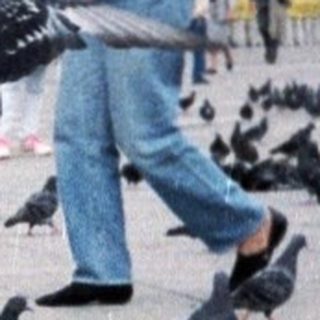 Two children feeding pigeons in St. Mark's Square.