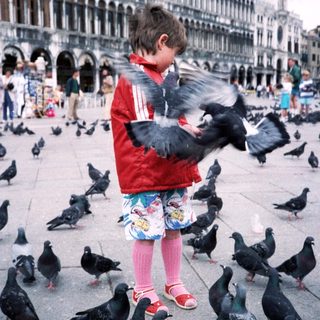 Child feeding pigeons in a historic square.