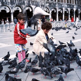 People feeding pigeons in a historic square.