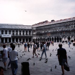 Venetian Piazza with pigeons and historic buildings.