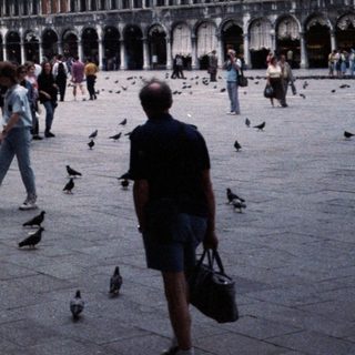 Venetian Piazza with pigeons and historic buildings.
