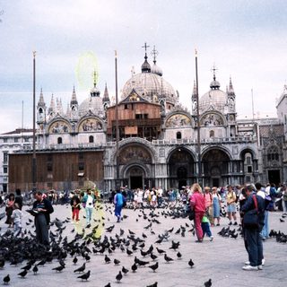 Venetian square with pigeons and St. Mark's Basilica.