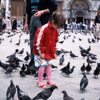 Family feeding pigeons in St. Mark's Square.