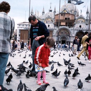 Family feeding pigeons in St. Mark's Square.
