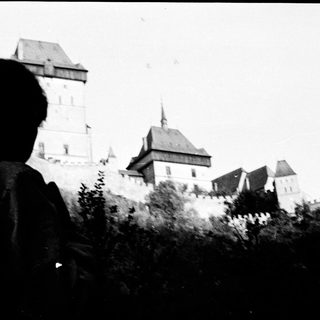 Medieval castle viewed from behind foliage.