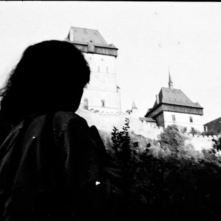 Medieval castle viewed from behind foliage.