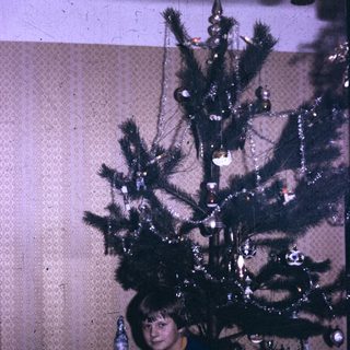 A person sitting beside a decorated Christmas tree.