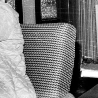 Old woman reading in living room with dog.