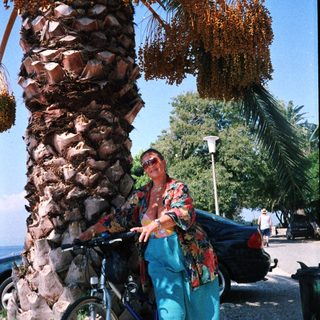 Person riding camel under large date palm trees.