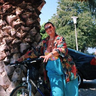 Person riding camel under large date palm trees.