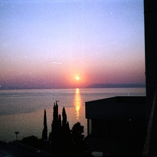 Sunset over calm sea with silhouetted trees.
