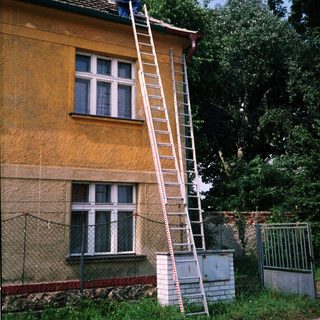 Ladder leaning against building for exterior maintenance.