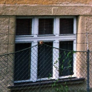 Yellow building with ladder against roof.