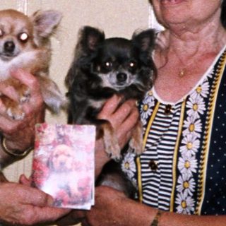 Two people holding small dogs indoors.