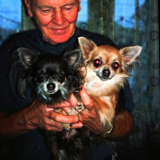 A man holds two small dogs indoors.