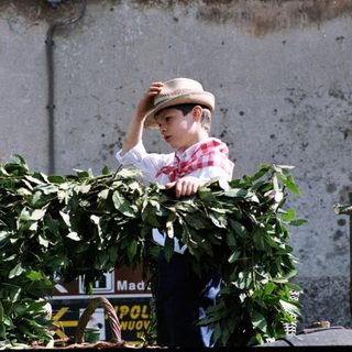 Young boy in festive attire leans on greenery.