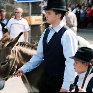 Man leads donkey in outdoor public event.