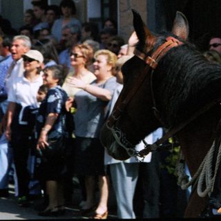 Traditional equestrian procession in a town square.