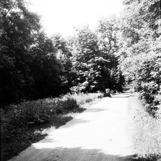 Quiet country road through wooded area.