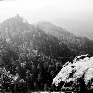 Snow-covered rocky mountain landscape in misty forest.