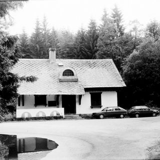Single-story house with cars in driveway, surrounded by trees.