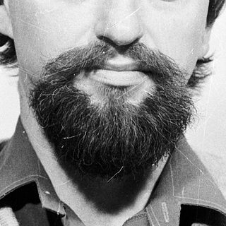 Man with beard and mustache in casual sweater.