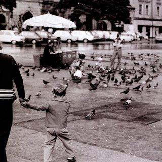 Boy feeding pigeons in city square.
